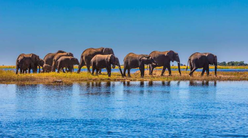 Tailor Made Safari: Okavango Delta Adventure