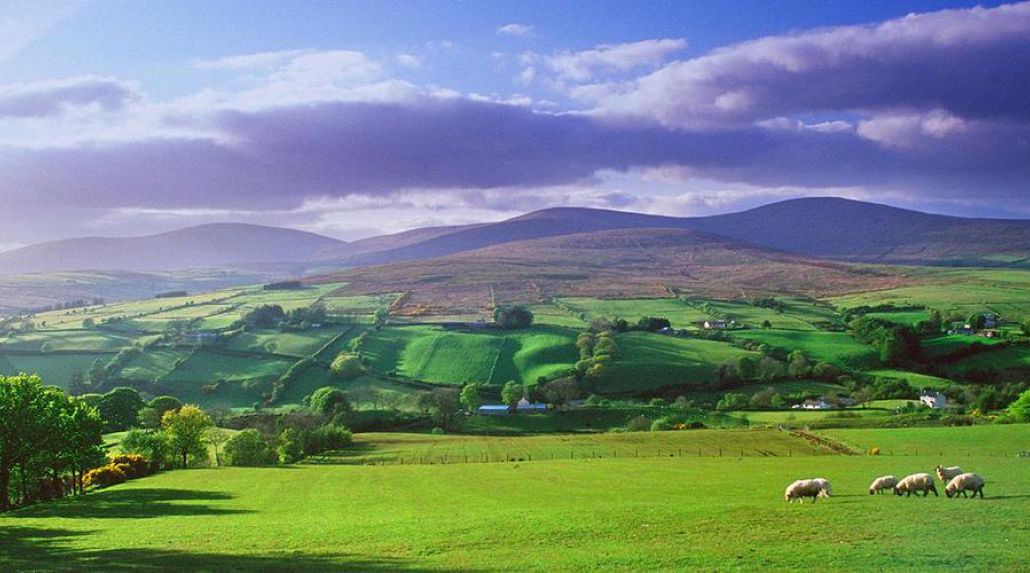 12 Day Irish Odyssey